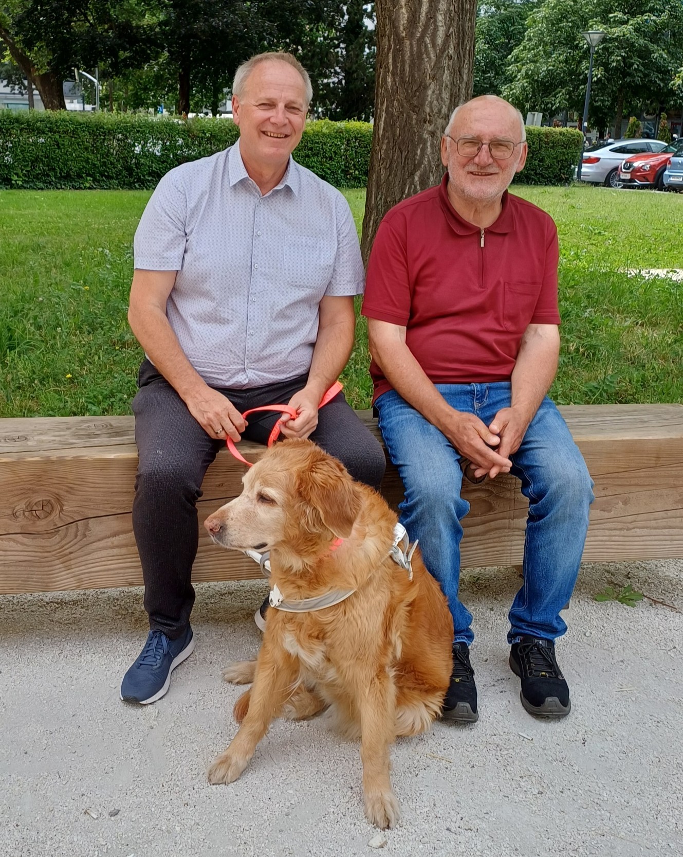 BSVK-Präsident Heinz E. Pfeifer mit Assistenzhündin Lynett und Geschichtsvereins-Direktor Wilhelm Wadl